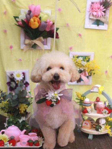 20230310こじろうくん